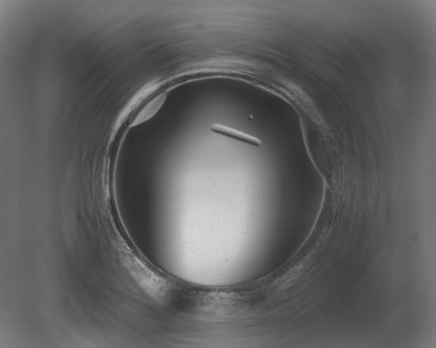 X0000080111180200612151639