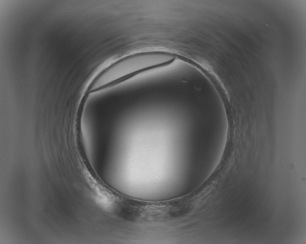 X0000080111181200612151639