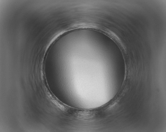 X0000080111182200612151639