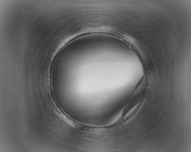 X0000080111184200612151639