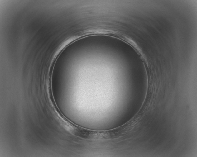 X0000080111187200612151639