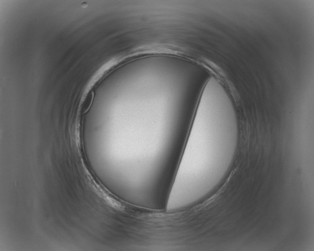 X0000080111188200612151639