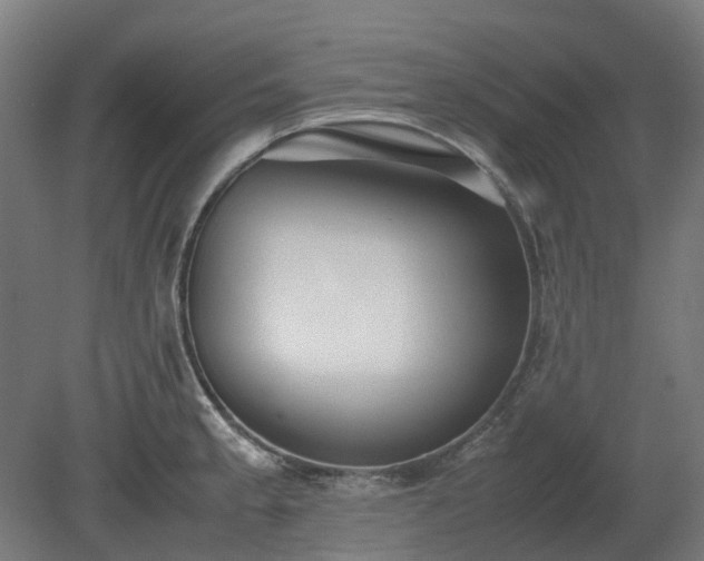 X0000080111189200612151639