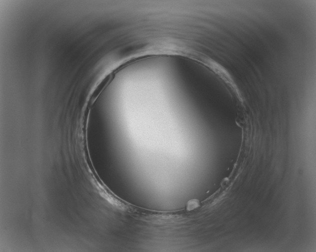 X0000080111192200612151639