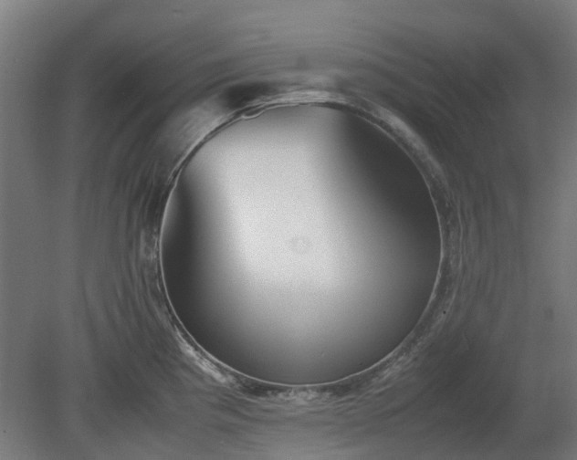 X0000080111193200612151639