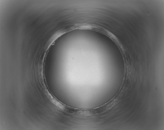 X0000080111194200612151639