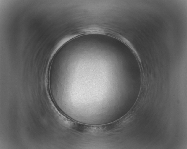 X0000080111195200612151639