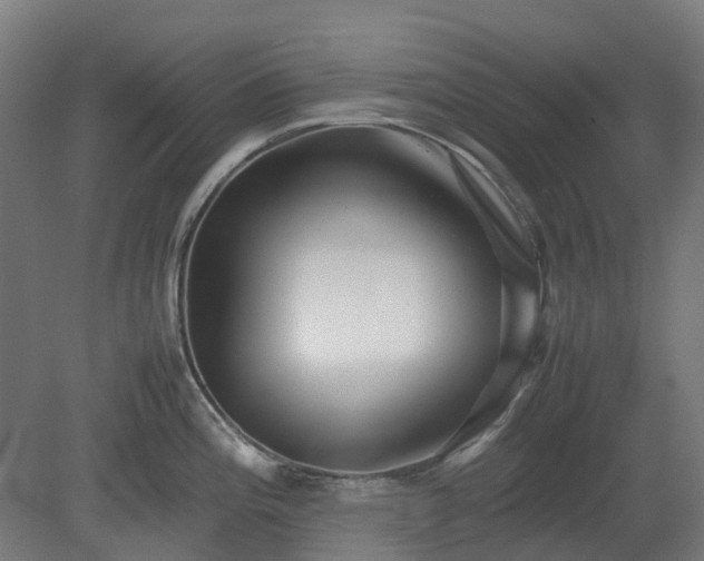 X0000080111196200612151639