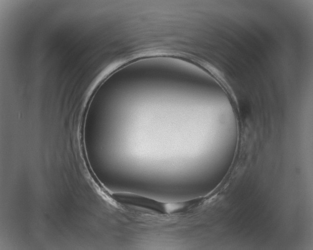 X0000080111197200612151639