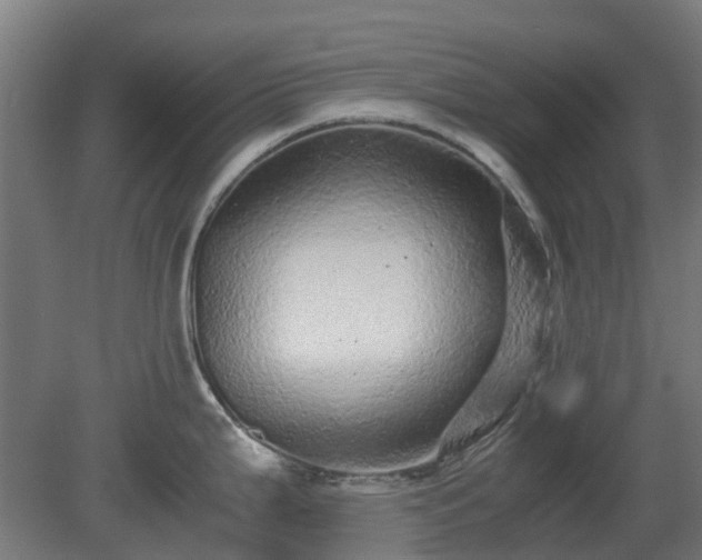 X0000080111199200612151639