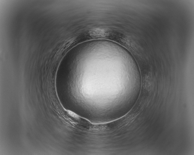 X0000080111201200612151638