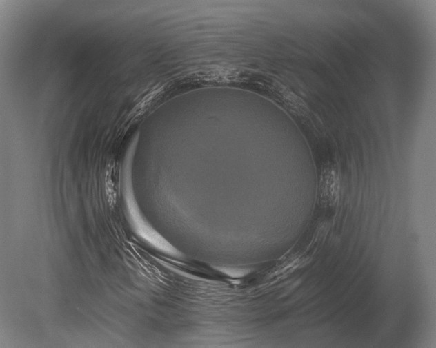 X0000080111202200612151638