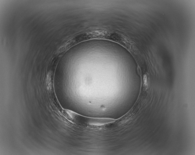 X0000080111203200612151638