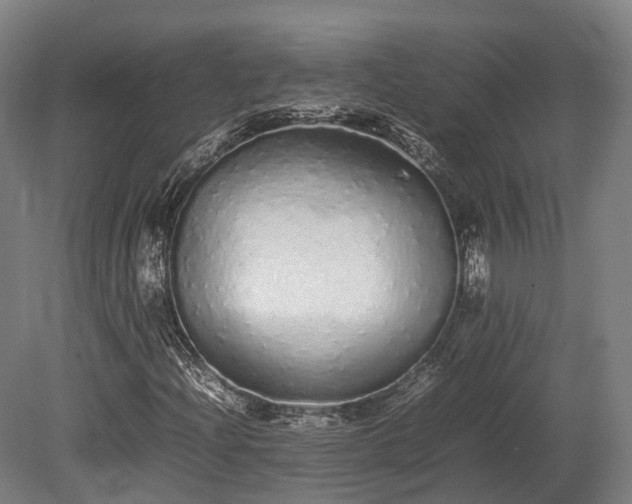 X0000080111204200612151638