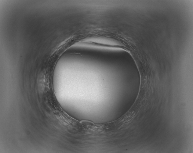 X0000080111205200612151638