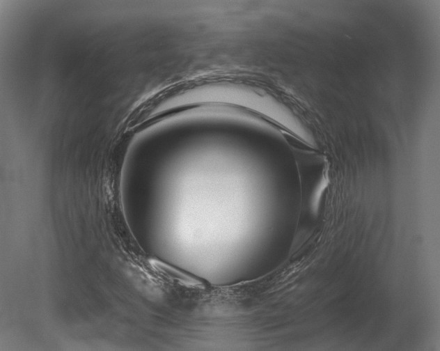 X0000080111206200612151638