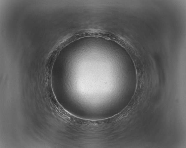 X0000080111207200612151638