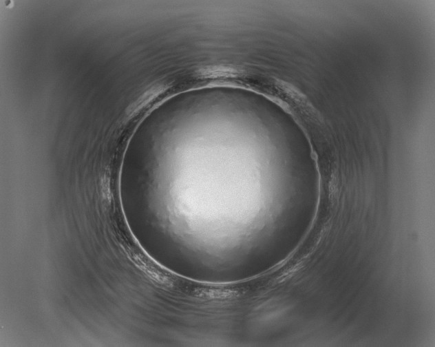 X0000080111209200612151638