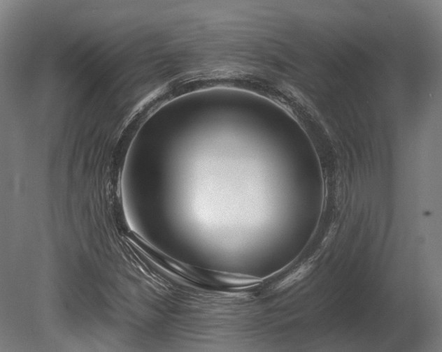 X0000080111210200612151638