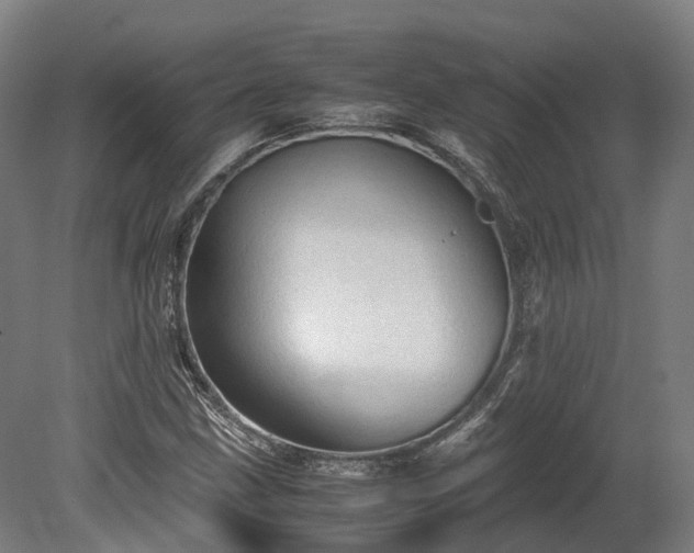 X0000080111211200612151638
