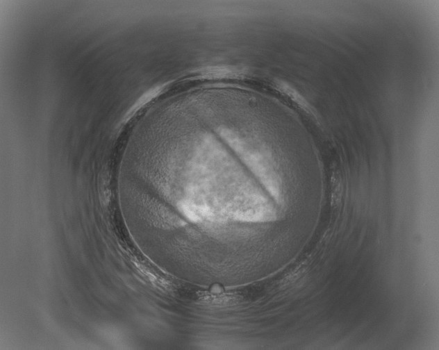 X0000080111213200612151638