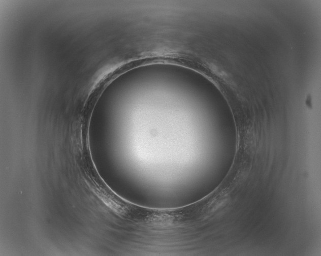 X0000080111214200612151638