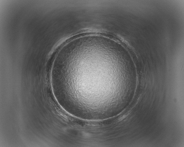 X0000080111215200612151638