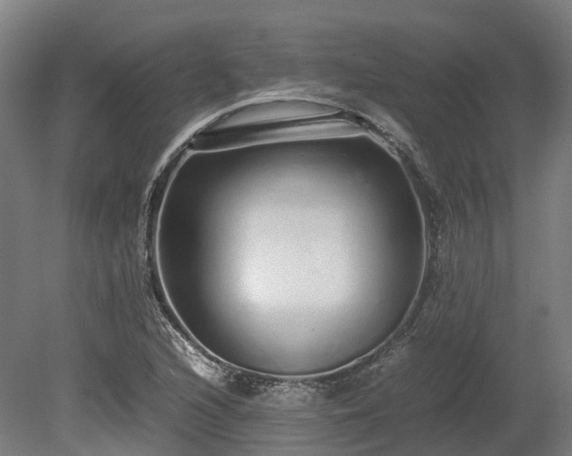 X0000080111216200612151638