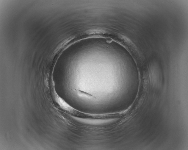 X0000080111217200612151638