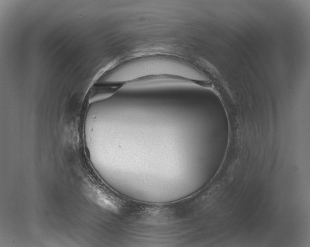X0000080111218200612151638