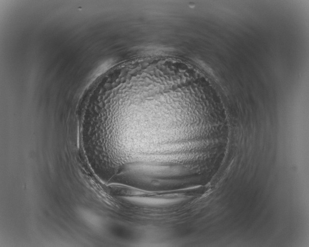 X0000080111219200612151638