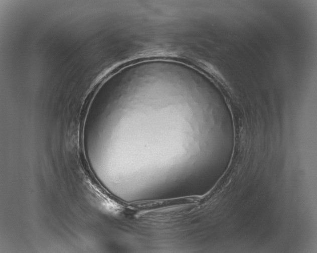 X0000080111220200612151638