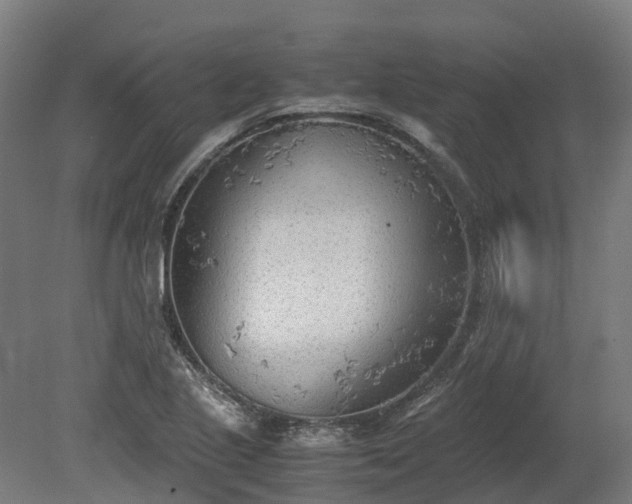 X0000080111221200612151638