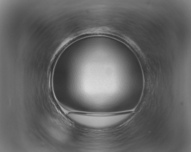 X0000080111224200612151638