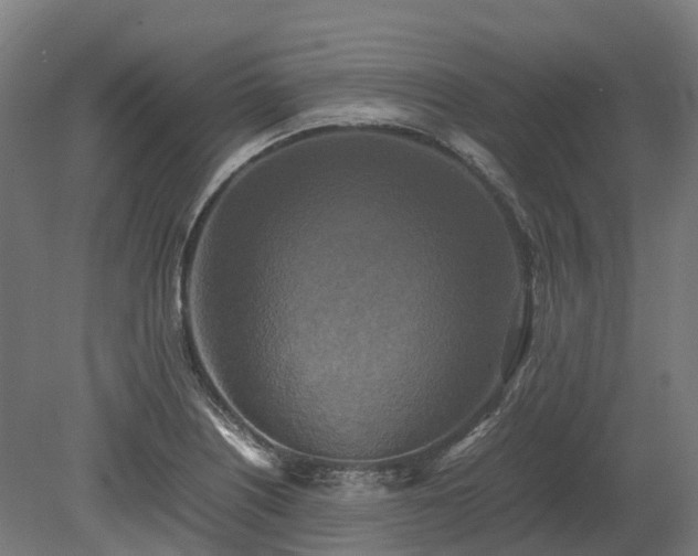 X0000080111226200612151638