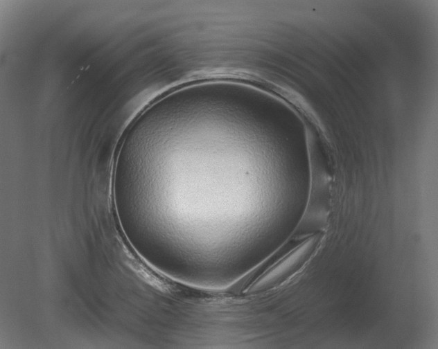 X0000080111228200612151638