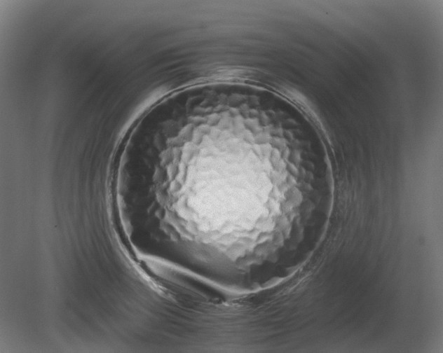 X0000080111235200612151638