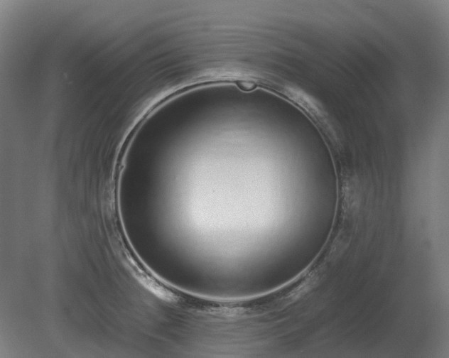 X0000080111236200612151638
