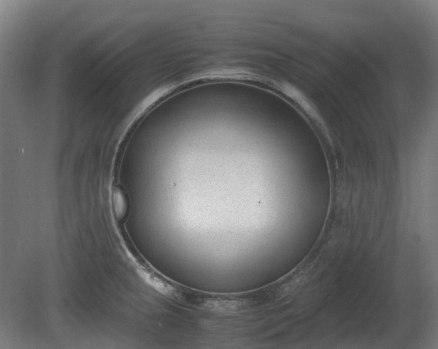 X0000080111237200612151638