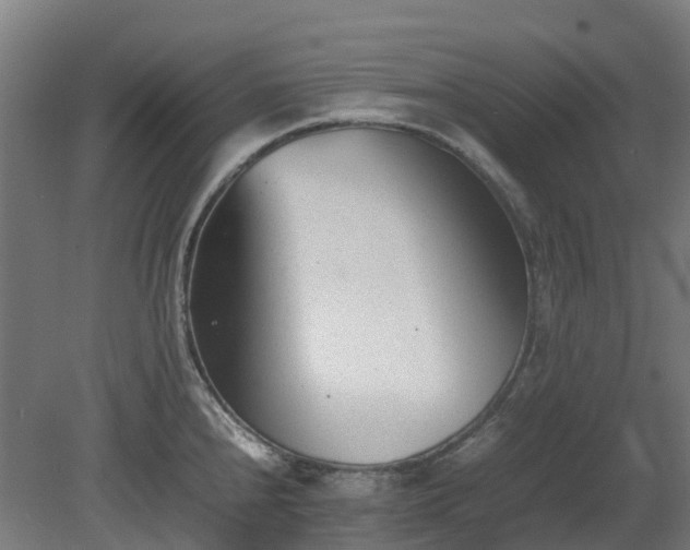 X0000080111240200612151638
