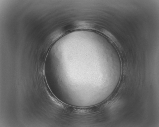 X0000080111241200612151638
