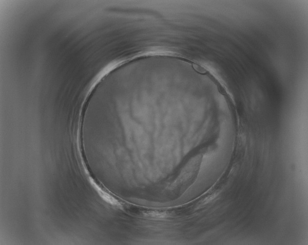 X0000080111245200612151638