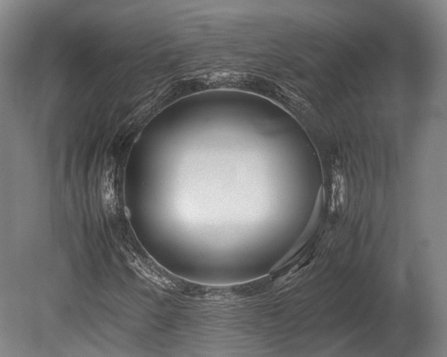 X0000080111250200612151638
