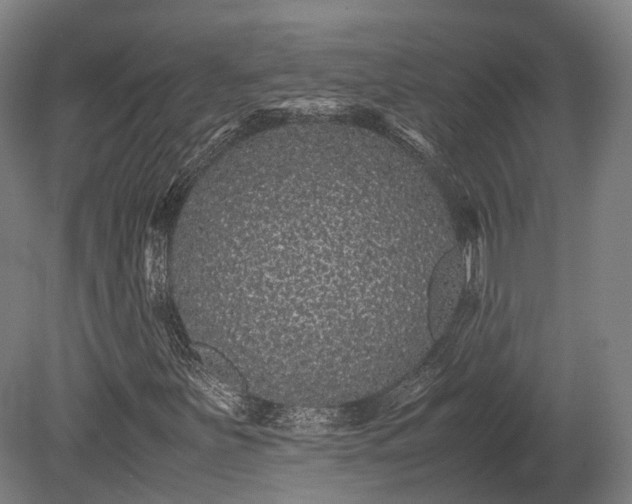 X0000080111251200612151638