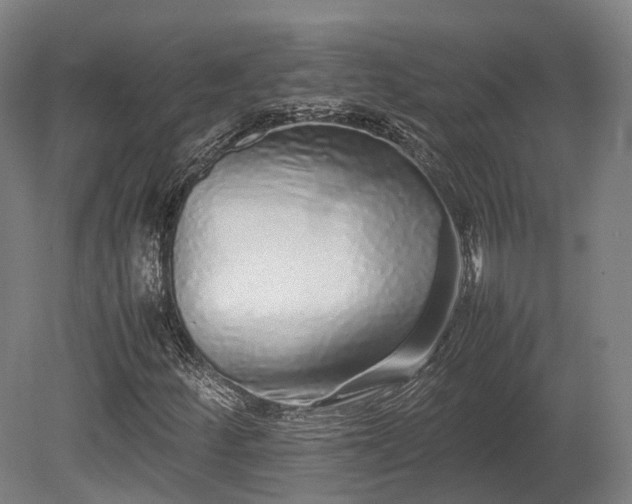 X0000080111252200612151638