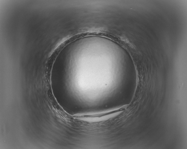 X0000080111256200612151638