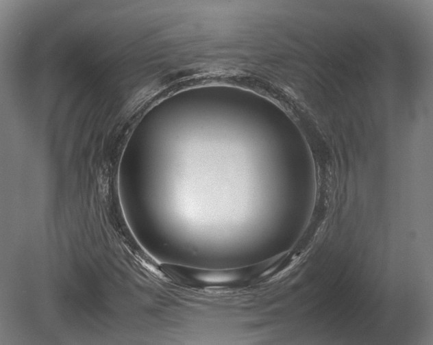 X0000080111257200612151638