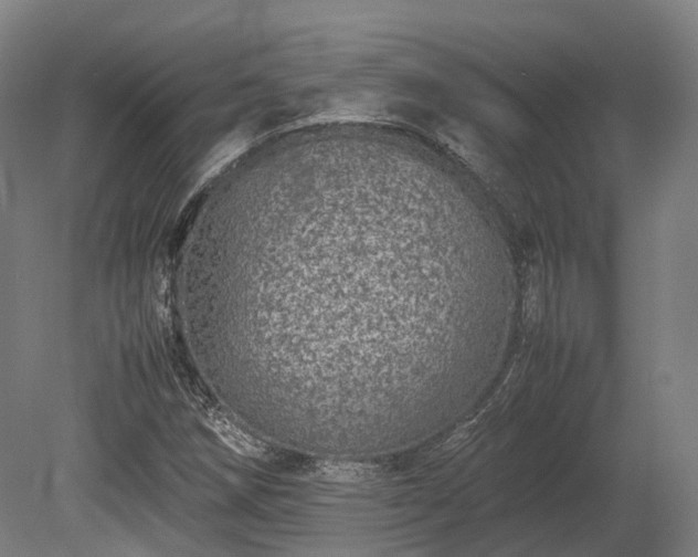 X0000080111258200612151638