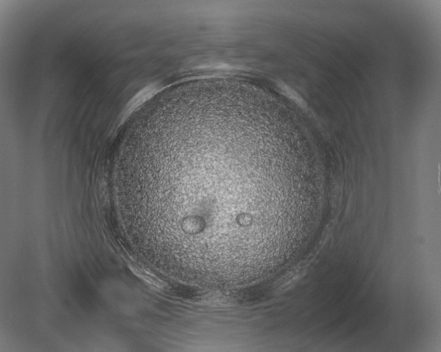 X0000080111259200612151638
