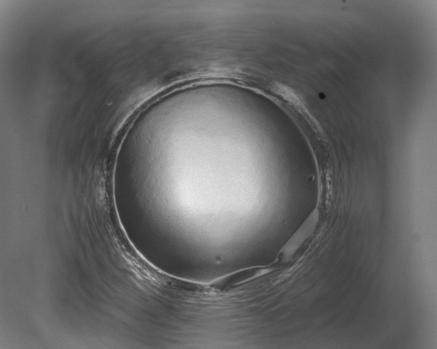 X0000080111260200612151638